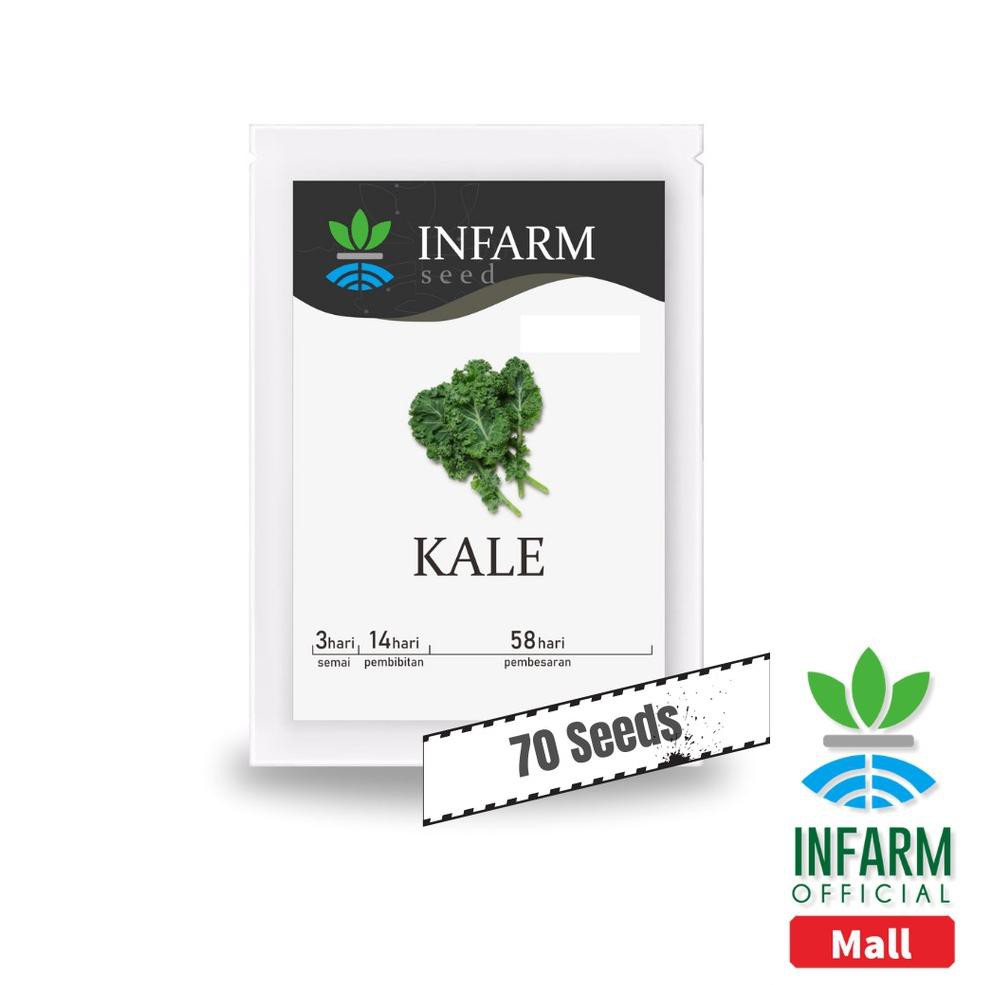 TERDEPAN Infarm Benih Bibit Biji Super Sayur Kale Infarm