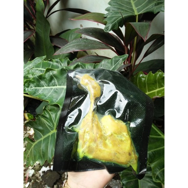 

Bebek Ungke Frozen (Paha)