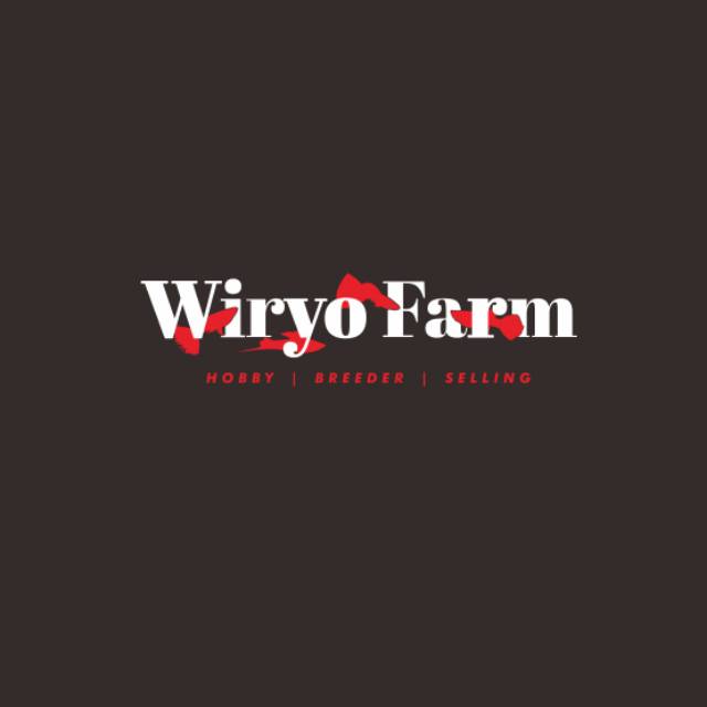 wiryofarm