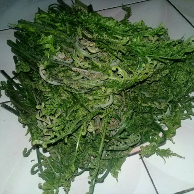 

Pakis/sayuran/ mantap/ 1 kg