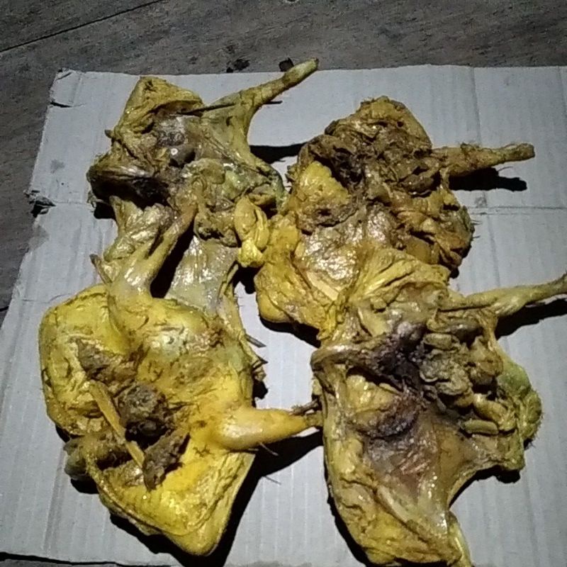 daging burung puyuh