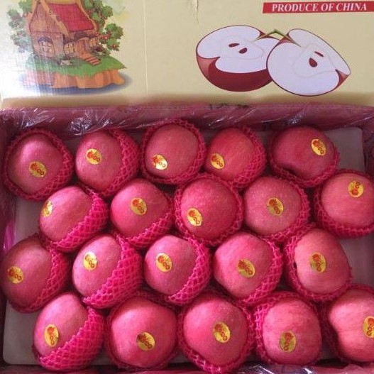 

FRESH APEL FUJI CHINA 17 KG GARING MANIS ( CARTON )