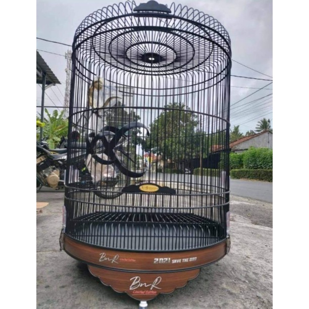 sangkar murai batu BnR limited edision decal
