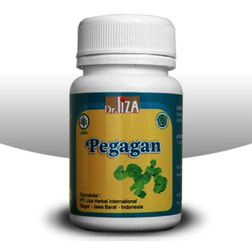 Pegagan Ekstrak Dr Liza Herbal Untuk Peredaran Darah