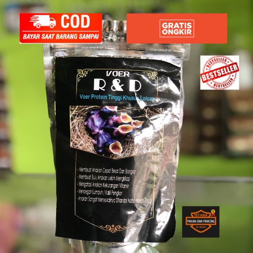 PUR VOER R&D RND LOLOH PAKAN MAKANAN BURUNG LOLOHAN ANAKAN PIYIK MURAI KACER