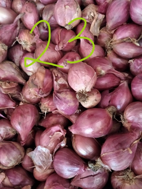 Botol Minum 1l Dream Bpa Free