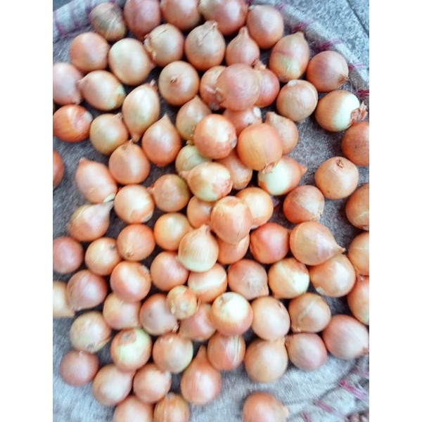 

Bawang Bombay