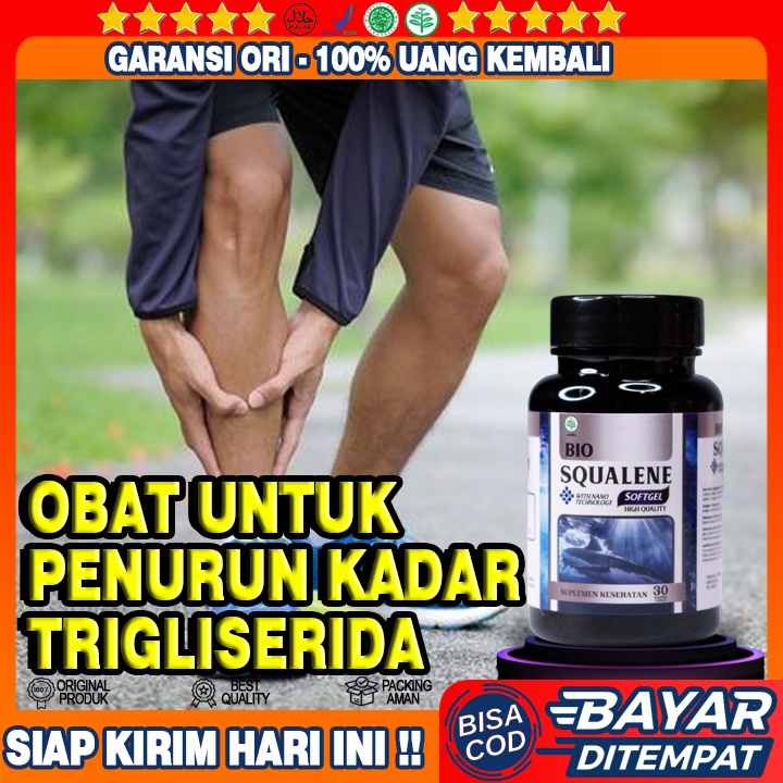 Obat Penurun Kadar Trigliserida Tinggi Dalam Darah - Menurunkan Kadar Kolesterol Dan Trigliserida - 