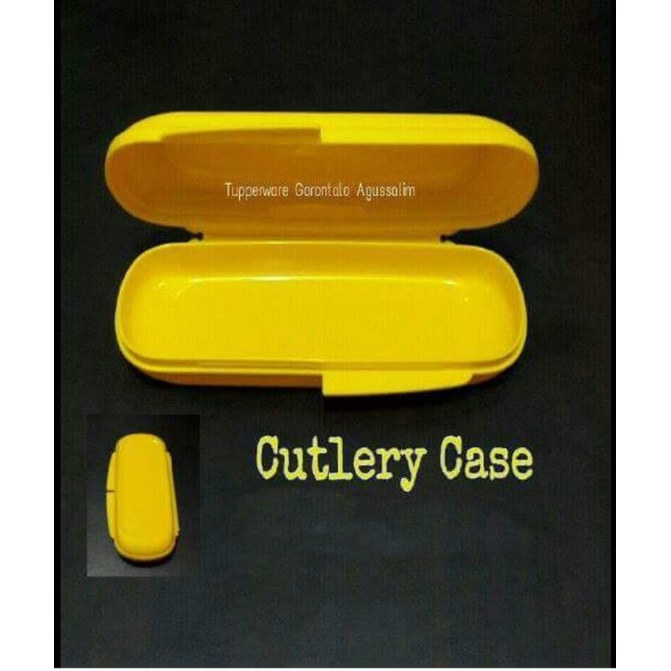 Tupperware Cutlery Case