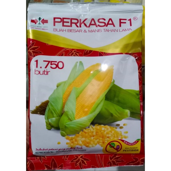 Benih Jagung Manis Perkasa F1 1.750 Butir | Cap Panah Merah