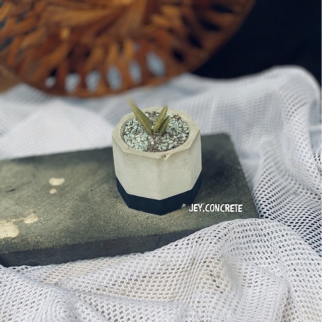 Pot Mini Sukulen Semen