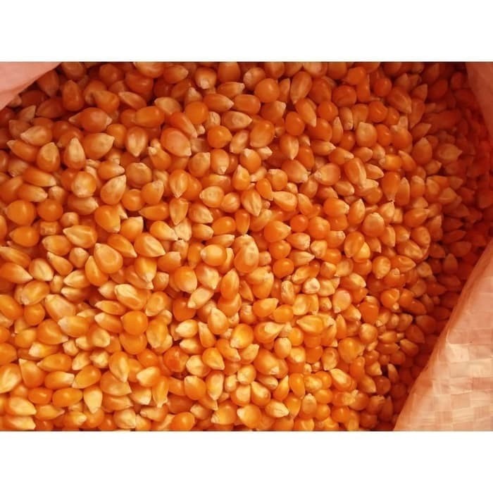 

ds201fs Biji Jagung Popcorn Usa Biji Jagung Popcorn Butterfly Premium 1Kg Dscscv