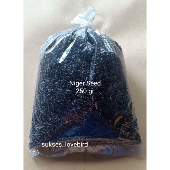 Niger Seed 1/4 kg nigger pakan kenari siskin