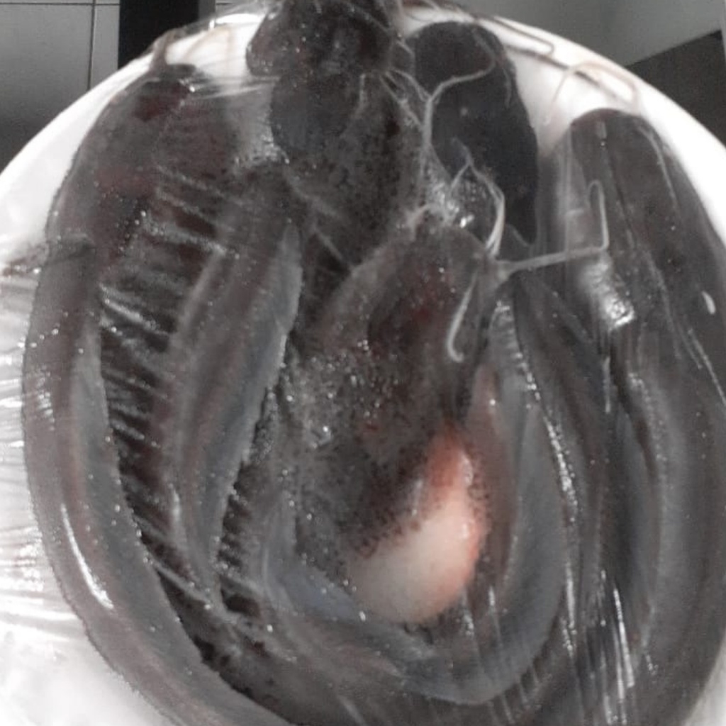 

Lele Segar isi 3-4 ekor pr pack Sudah Bersih Siap Olah