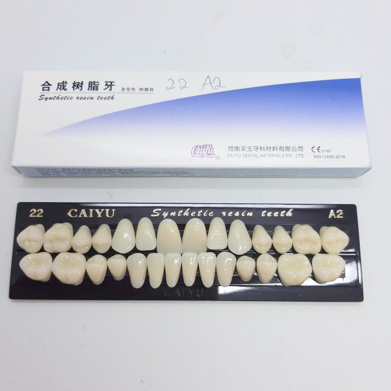 1 Set Gigi Palsu Acrylic Fullset Caiyu Rahang Atas Bawah JunDW