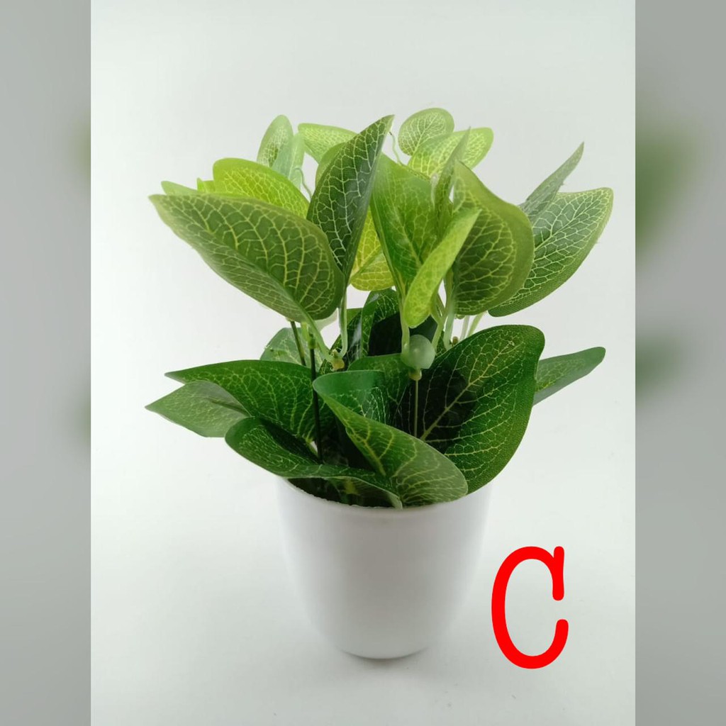 COD TANAMAN HIAS TANAMAN DAUN PLASTIK TANAMAN HIAS RUMAH BUNGA HIAS BUNGA PLASTIK BUNGA BP8844-C