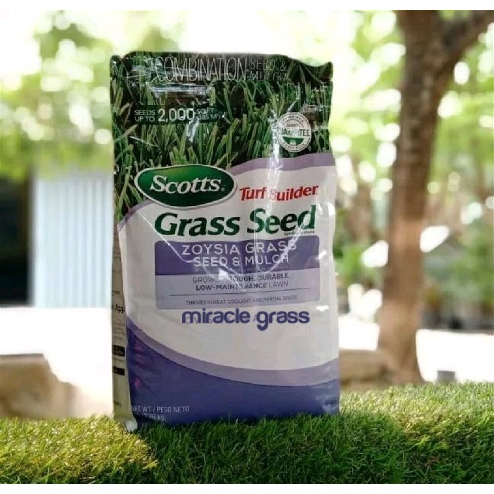 Benih bibit biji rumput Zeon Zoysia - lapangan golf - lapangan s