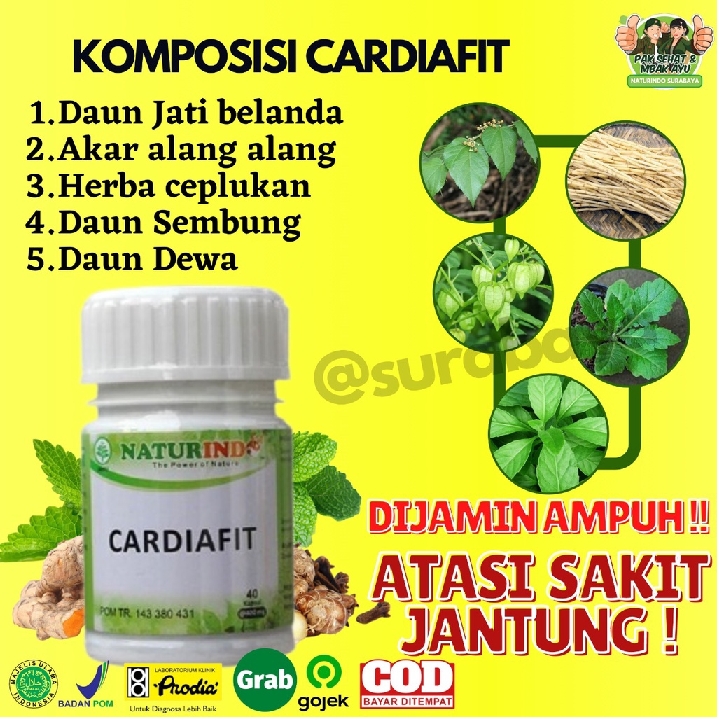 Obat Jantung Koroner Obat Jantung Lemah Telapak Tangan Berkeringat Obat Jantung Herbal Jamu Jantung Sesak Nafas Obat Herbal Perawatan Jantung Jantung sering Berdebar Nyeri Dada sebelah Kiri Tradisional BPOM CARDIAFIT Naturindo Surabaya-2