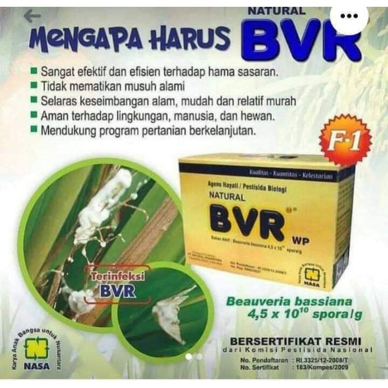 BVR NASA