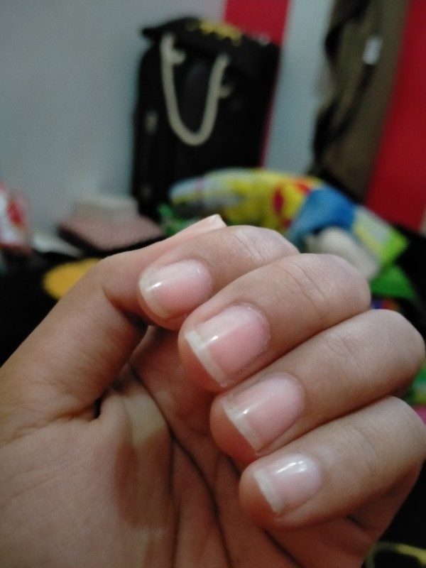 Set Peralatan Makan Gandum 3 In 1 (ada Kotak)