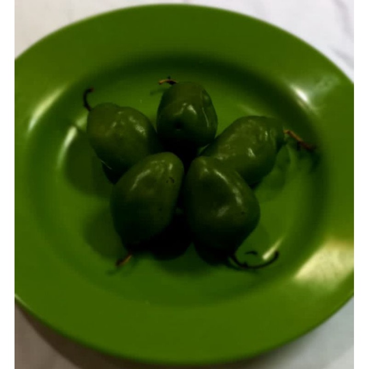

cabe gendot/gembor