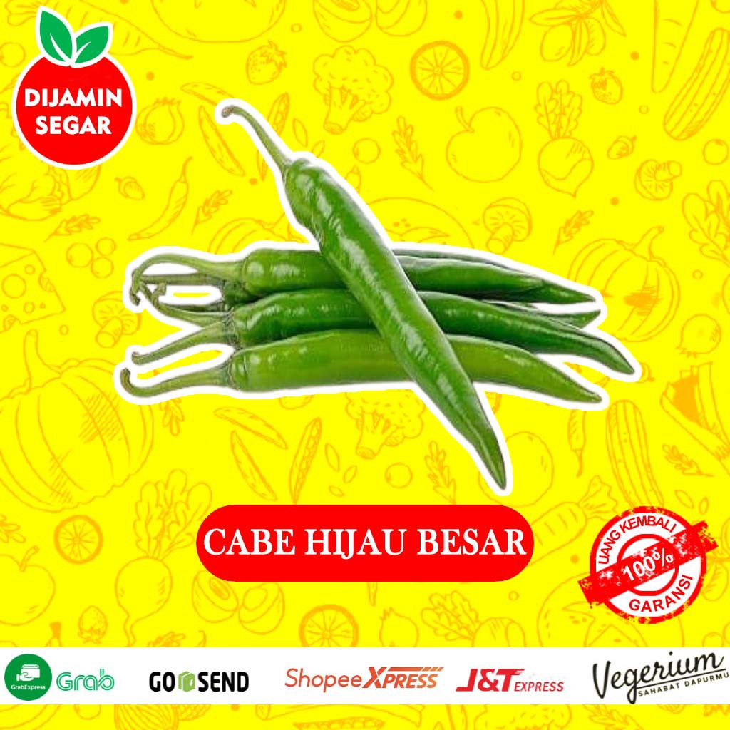 

Cabe Hijau Besar Sayur Sayuran Segar Bumbu Dapur Masakan Fresh Kualitas Premium