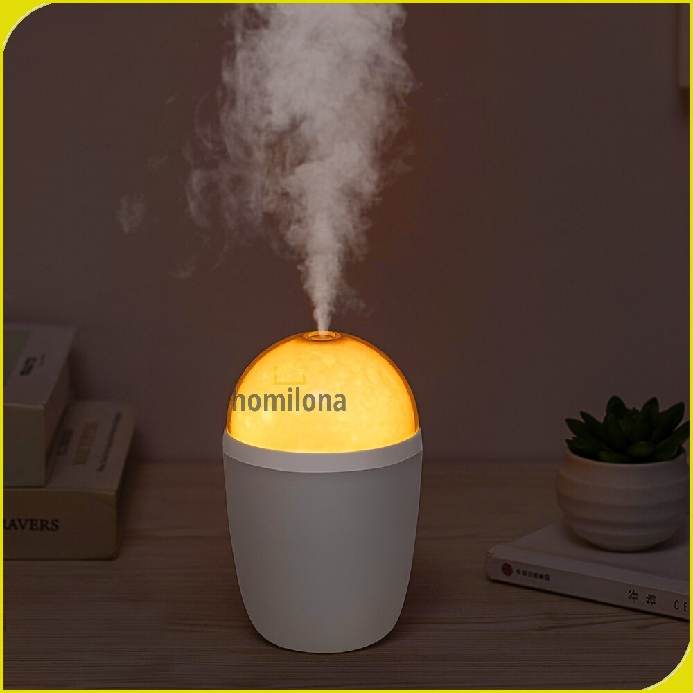 Humidifier Diffuser Aromaterapi Paket Oil Alat Pengharum Ruangan Pelembab Udara Disfuser Minyak Essensial Essential Oil Aromatherapy