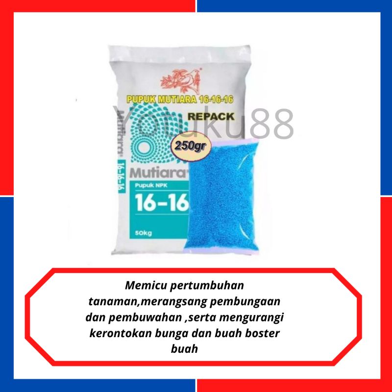 pupuk buah/boster buah/pupuk mangga/ perangsang buah/pupuk klengkeng