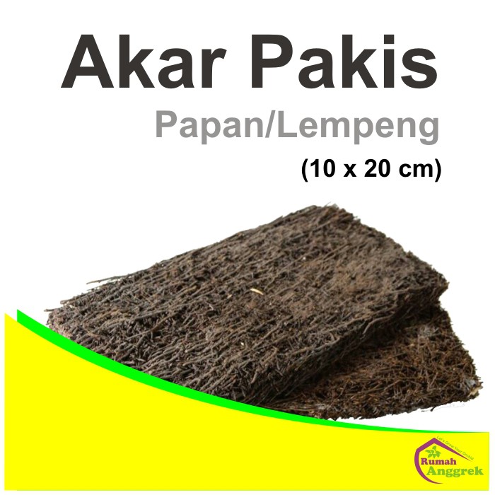 

Media Akar Pakis Papan Lempeng 10 x 20 anggrek sedang besar