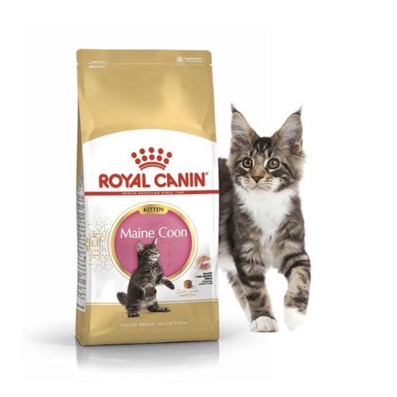 ROYAL CANIN KITTEN MAINE COON 400gr / ROYAL CANIN MAINE COON KITTEN