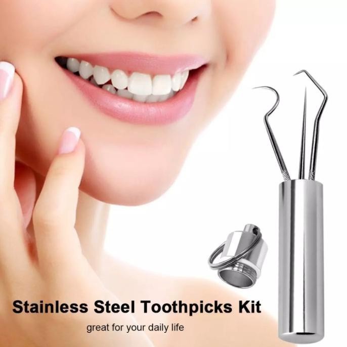 Tusuk Gigi Stainless Steel Portable - Besi - Toothpick Travel Tooth