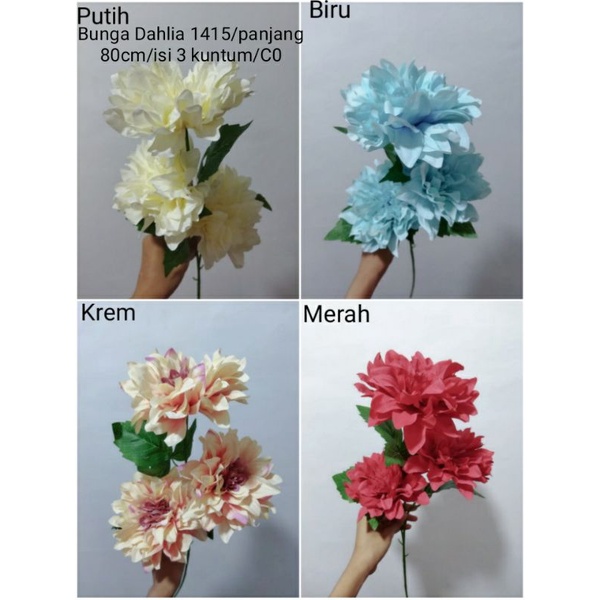 Bunga Dahlia Tinggi 1415