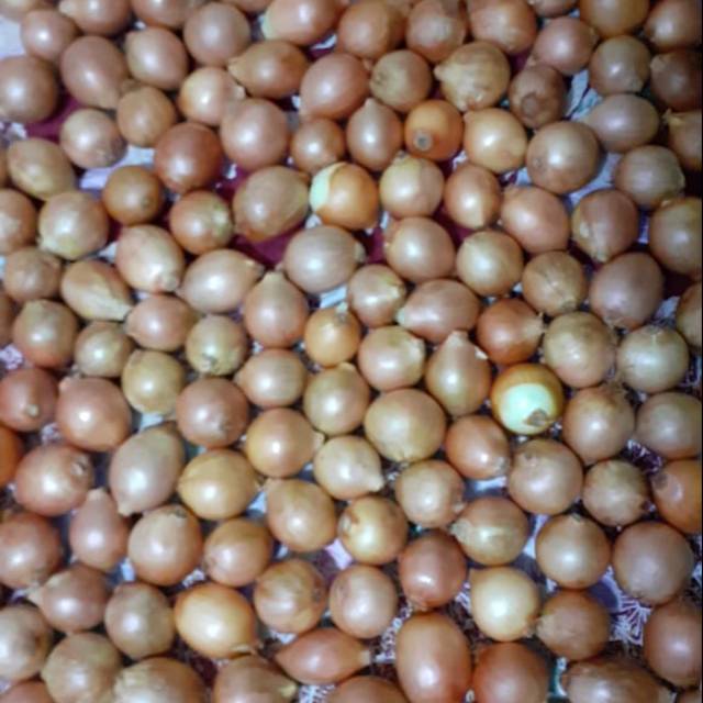 

Bawang bombay
