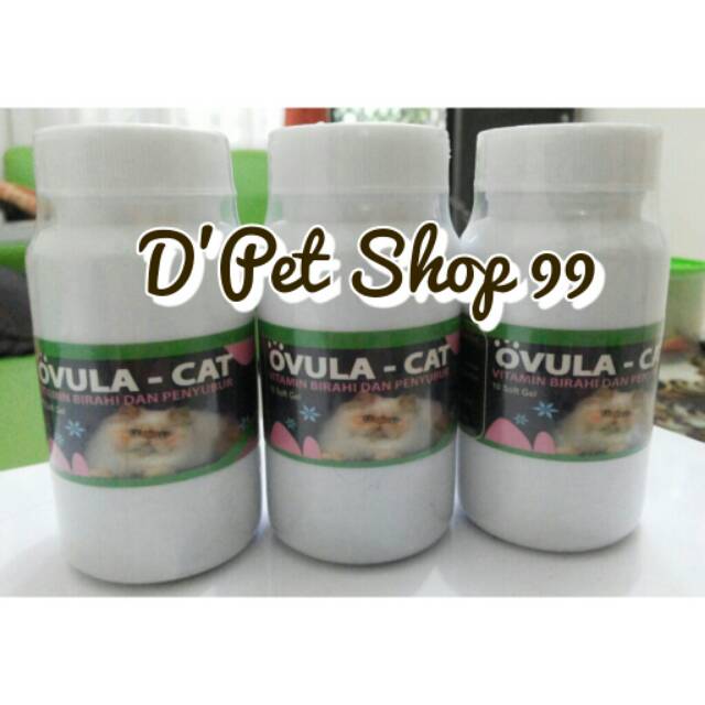 Ovula Cat