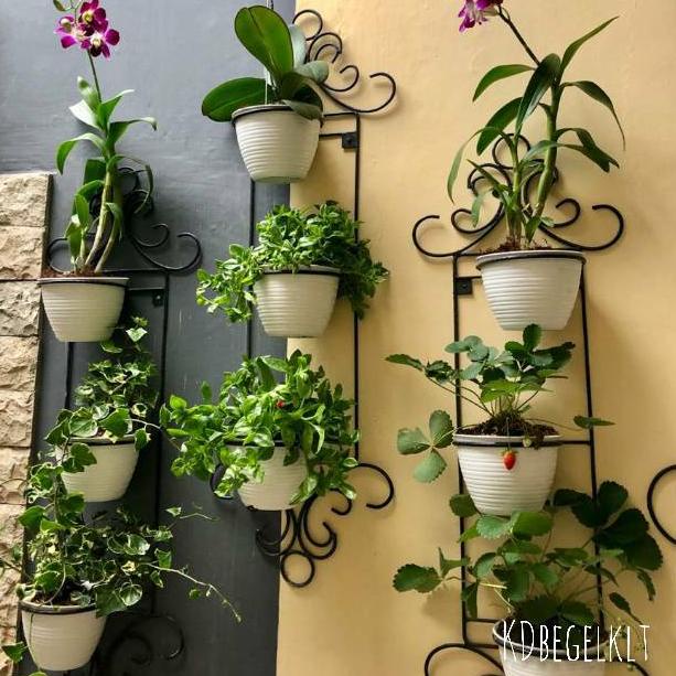 (T-OFQ <»}) Standing Pot Dinding ANGGREK+BONUS POT D15 / Rak Pot Bunga Tempel Dinding Minimalis Mura