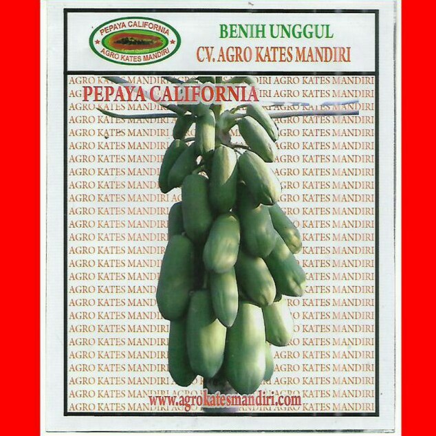 Biji bibit pepaya California/ Calina IPB9 kemasan 10 gram (isi 500 butir)