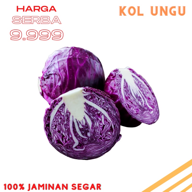 

Kol ungu kecil untul salad