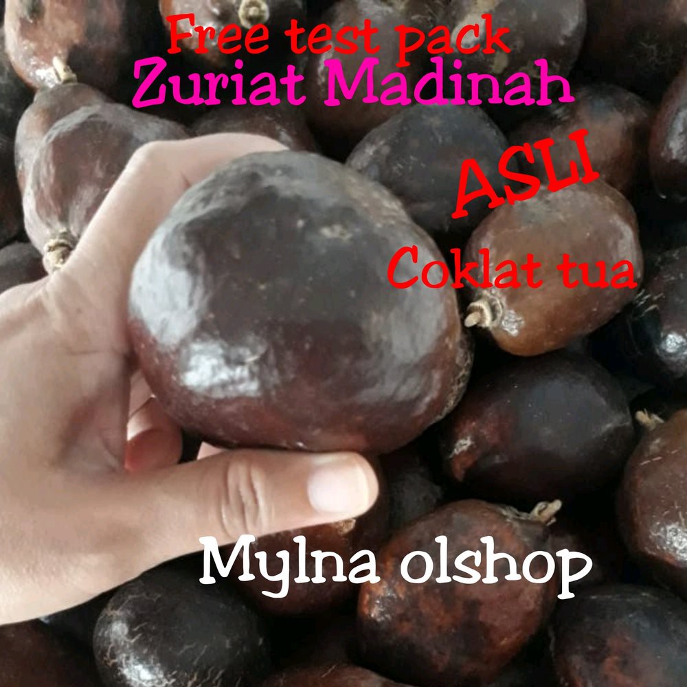 

buah zuriat 1 kg Terlaris