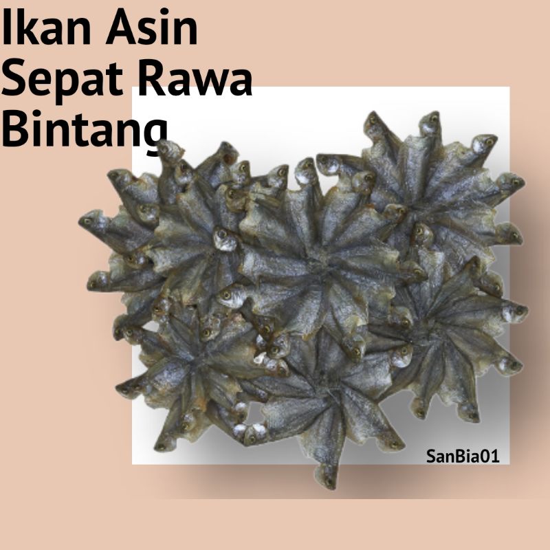 

Ikan Asin Sepat Bintang Rawa Sungai