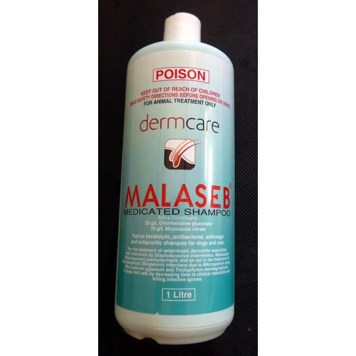 shampoo malaseb medicated shampoo derm care 1 liter