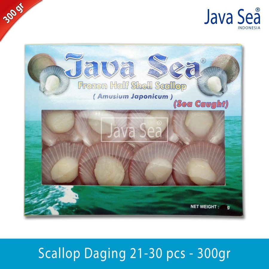 

JAVA SEA Scallop Cangkang Daging 21-30 pcs per pack 300gr