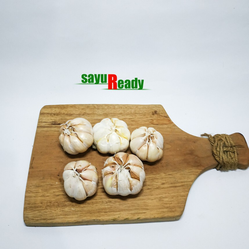 

Bawang Putih