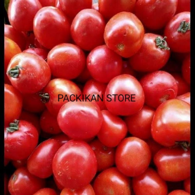 

Tomat ceri Segar Dan Bergarasi 500gram