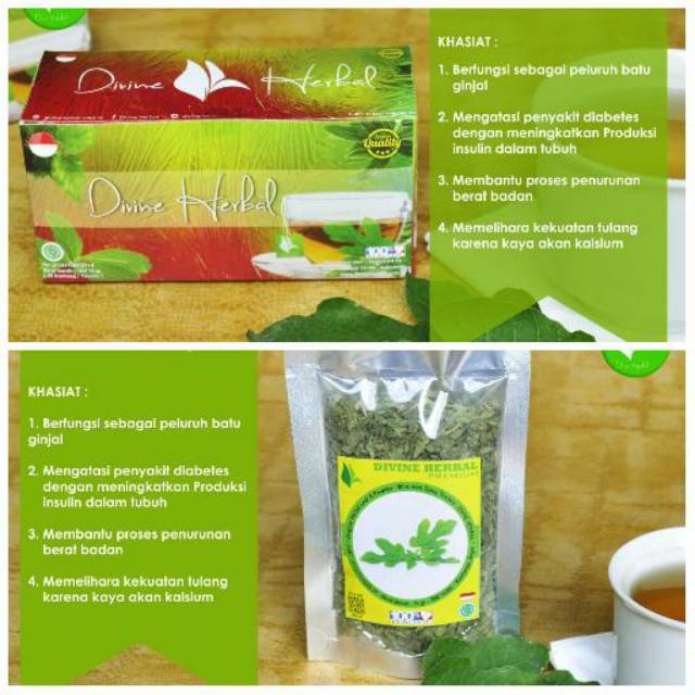 

Paket Lengkap Teh Tin anti diabetes