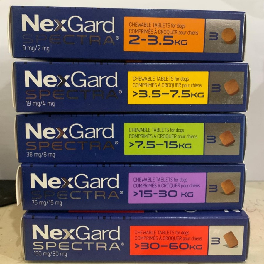 (1 BOX) NEXGARD SPECTRA 7.5 - 15 KG OBAT KUTU AMPUH &amp; KOMPLIT