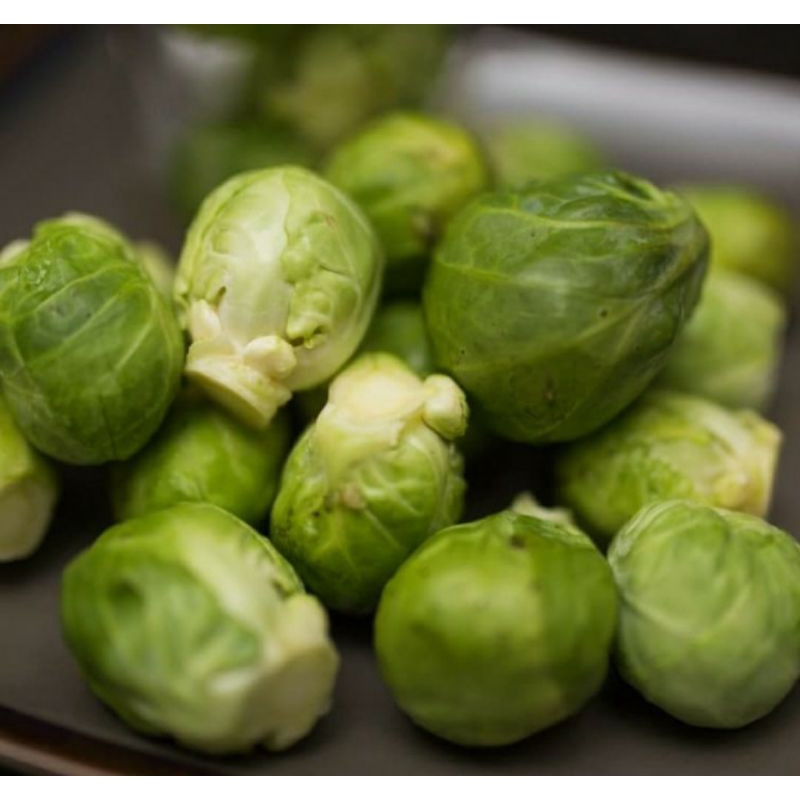

brussel Sprout import Australia -+300 grm
