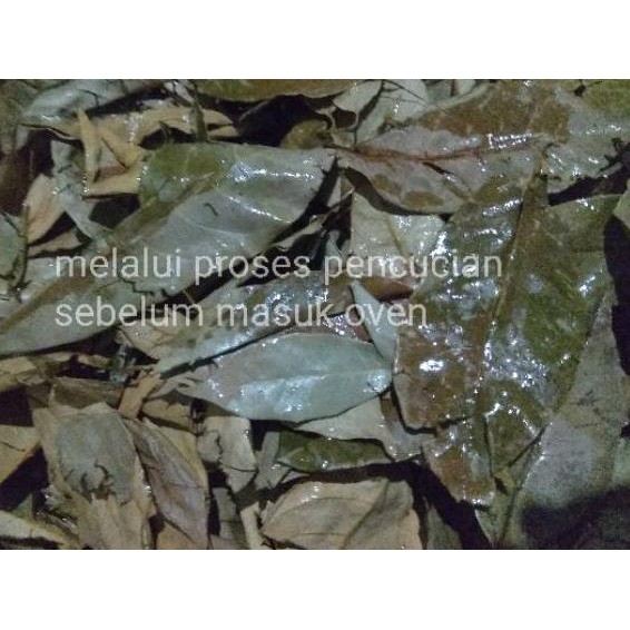 

HOT SALE!! (hrk-491) [10 Pcs] WEDANG UWUH JAHE KERING Komplit Gula Batu - BEKASI - GROSIR