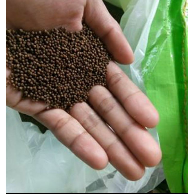 pakan anakan pf 1000 pakan benih lele pakan benih nila pelet gurame pelet burayak