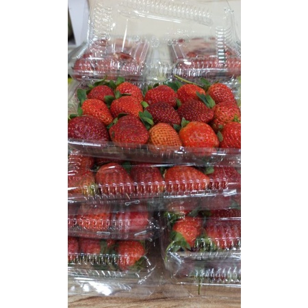 Buah Strawberry Segar Strawbery Pack 100-150 gram