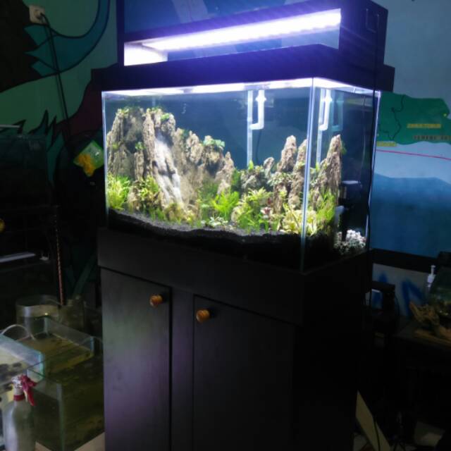 Aquascape 60cm Full Set